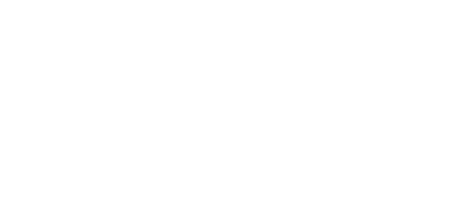 لیانا موبیلیتی